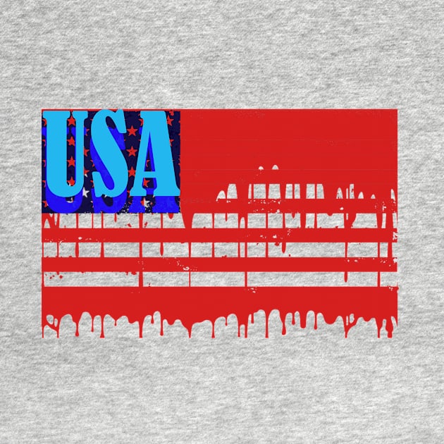 USA by BorzK